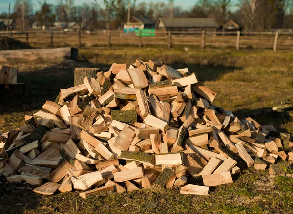 Pile de bois de chauffage — Photo