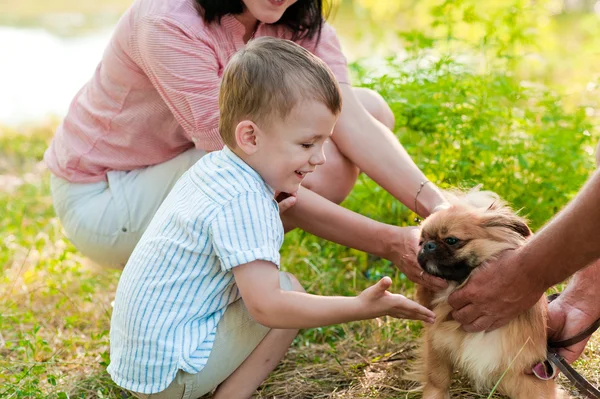 Barn röra en hund utomhus — Stockfoto