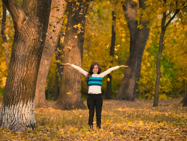 Chica bonita jugando con hojas de otoño en el parque —  Fotos de Stock