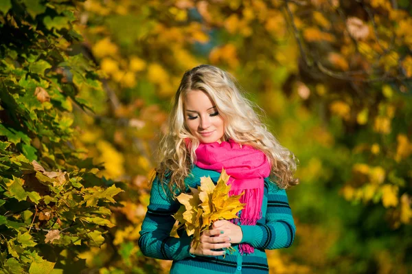 Schöne Mädchen in bunten Herbst Wald — Stockfoto