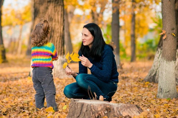 年轻女子和她小的孩子在秋天颜色公园 — 图库照片