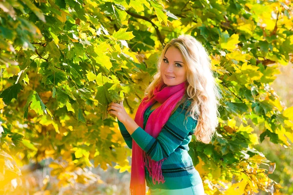 Portret dziewczyny z jesień klon liście na jesieni na zewnątrz — Zdjęcie stockowe