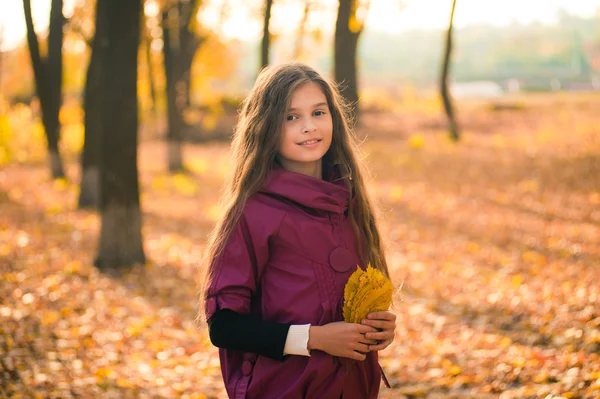 Chica retrato con Arce otoño las hojas en otoño al aire libre —  Fotos de Stock