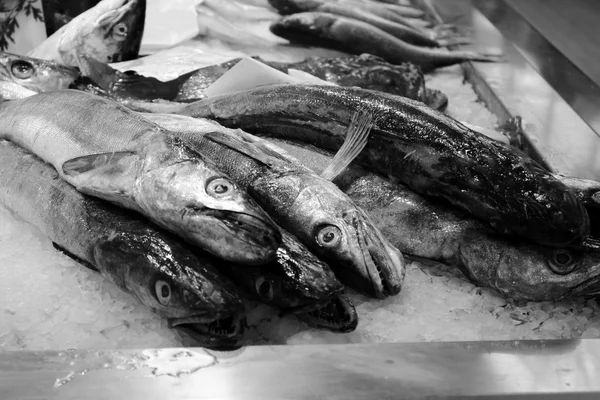 Marché aux poissons dans une ville européenne — Photo