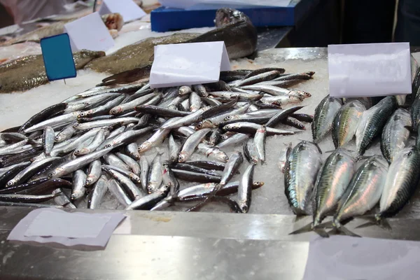 Vismarkt in een Europese stad — Stockfoto