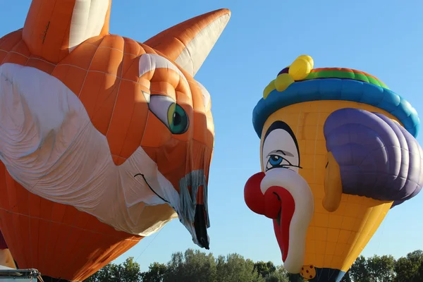 Tentoonstelling van Hor lucht ballonnen — Stockfoto