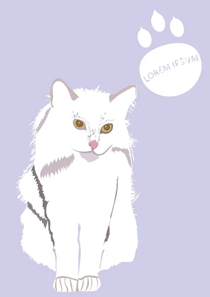 Gato blanco — Vector de stock