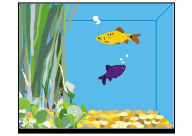 Download Fishtank Free Vector Eps Cdr Ai Svg Vector Illustration Graphic Art