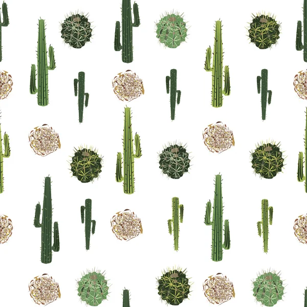 Cactus y tumbleweed patrón sin costura — Vector de stock