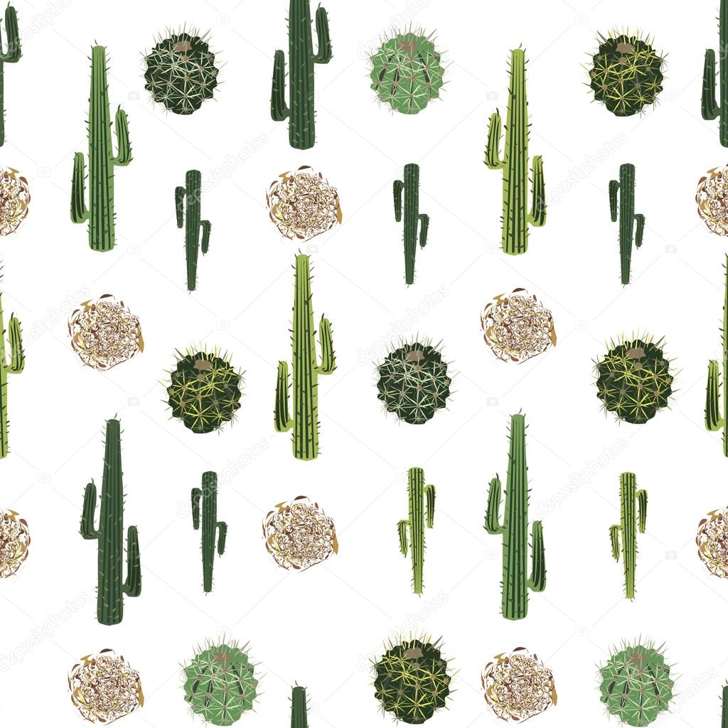 Featured image of post Cactus Tumbleweed Clipart 500 vectors stock photos psd files