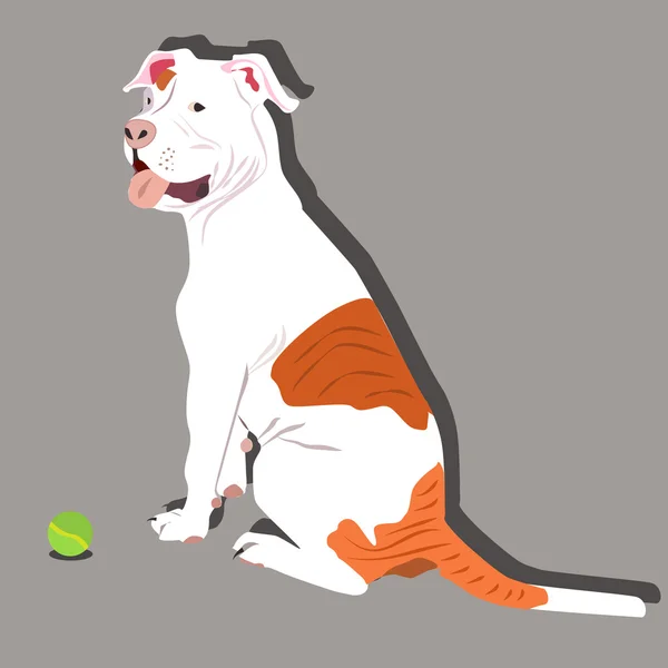 Puppy wilt spelen — Stockvector