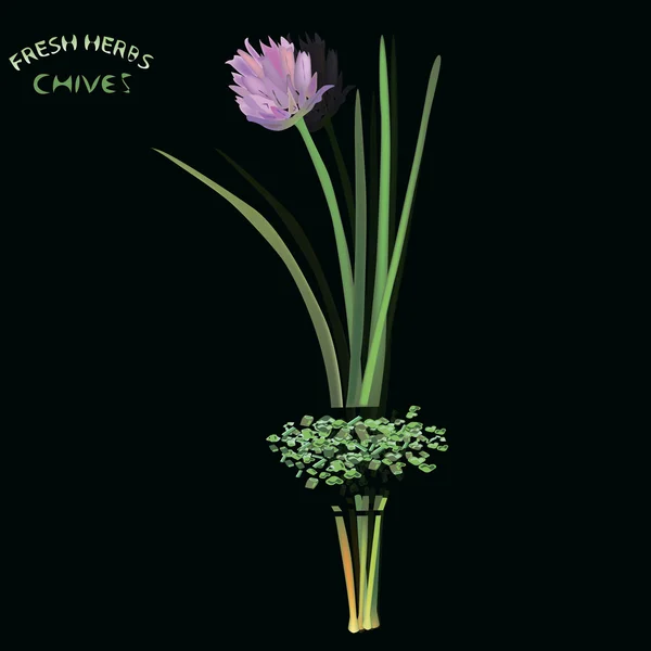 Chives Vector Graphics