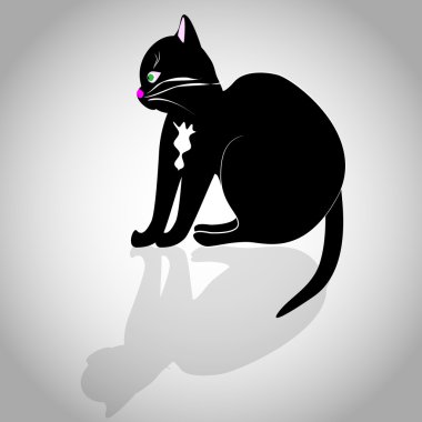 gri arka plan üzerinde siyah kedi