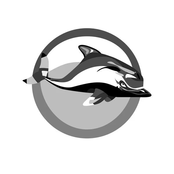 Monokrom simning dolphin — Stock vektor