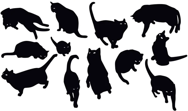 Black cats — Stock Vector