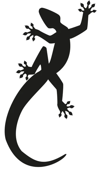 Gecko silhouette — Stock Vector