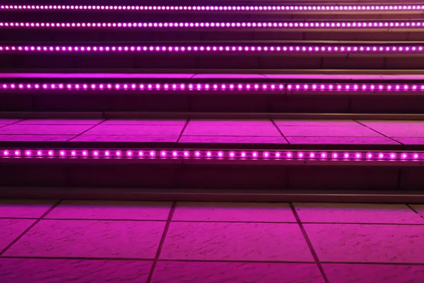 Escadas Decoradas Com Luzes Led Rosa — Fotografia de Stock