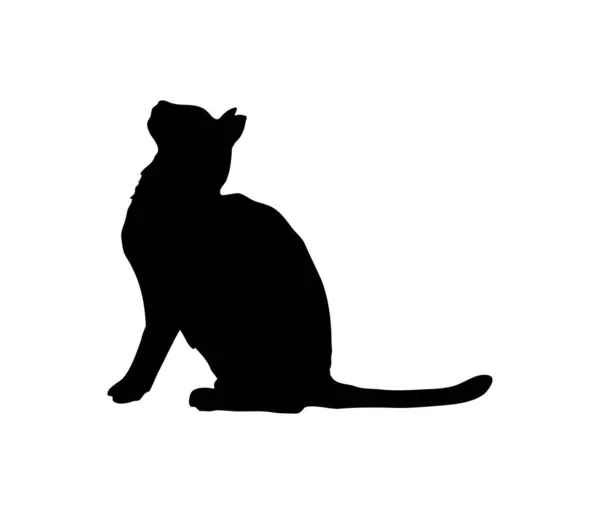 Profile of a Cat Graphic Icon Stock Illustration - Illustration of  artistic, drawing: 135822854