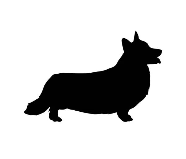 Freundliche Corgi-Silhouette. Schön zu stehen und zuzusehen. Niedlicher, reinrassiger, pedigree kleiner Hund — Stockvektor