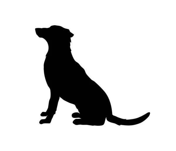 Dog outline silhouette. Sit and wait for the command. — Stock Vector