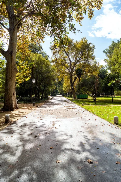 Seville Deki Mara Luisa Parkı Güneşli Bir Sonbahar Günüdür Endülüs — Stok fotoğraf