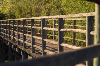 Las Doblas 'da (Sanlucar La Mayor, Seville) doğal bir çevrede kırmızı-kahverengi ahşap köprü veya yürüyüş yolu. Doğal bir parkta büyük güzelliğin ve çevresel değerin olduğu sessiz bir yer. Seçici odak.