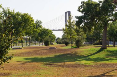 Rio Guadaira Parkı Sevilla 'daki (Endülüs, İspanya) büyük Centennial Köprüsü manzaralı. Büyük ağaçları olan büyük bir bahçe ve çimenlik alan..