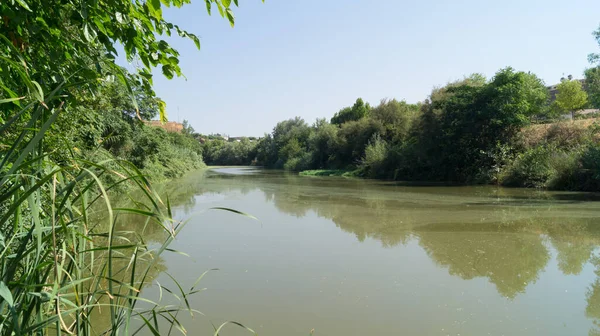 Guadaira River Alcala Guadaira Seville Spain Tributary Guadalquivir Area Great — Stock Photo, Image