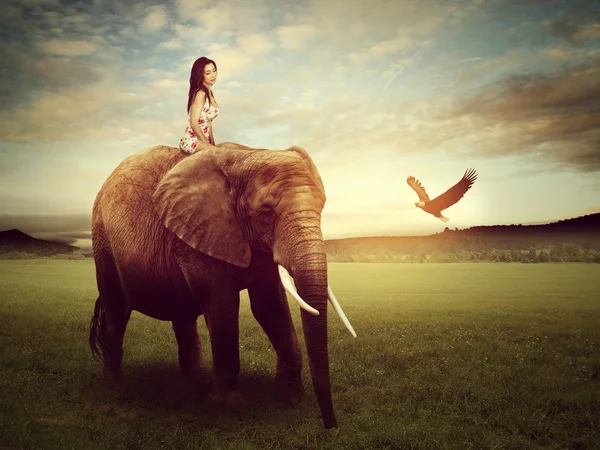 Beautiful woman sitting on an elephant — Stok fotoğraf