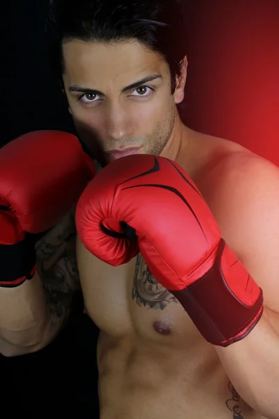 Guapo boxeador - boxeo —  Fotos de Stock