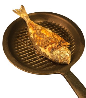 tavada kızarmış sparus aurata