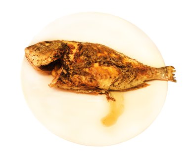 Kızarmış sparus aurata 