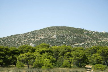 Yaz dağı Yunan manzarası ve yeşil ağaçlar ve mavi gökyüzü
