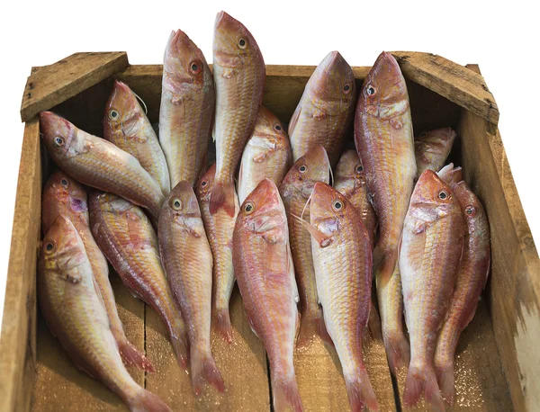 surmullet