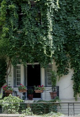 Yeşiller içinde balkon