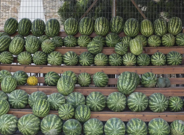Watermelon on the shelf — Stock Photo, Image