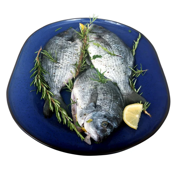 Arbre poisson frais sur une assiette bleue — Photo