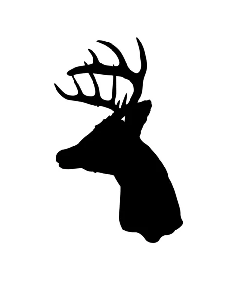 Whitetail Deer Silhouette — Stock Vector