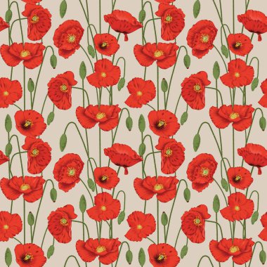 Kusursuz Papaver Rhoeas Çiçekleri Deseni