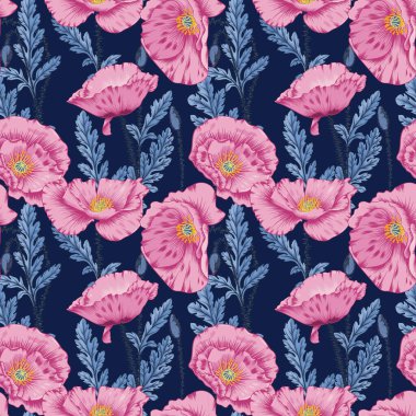 Mavi Yapraklı Kusursuz Pembe Papaver Rhoeas Çiçekleri