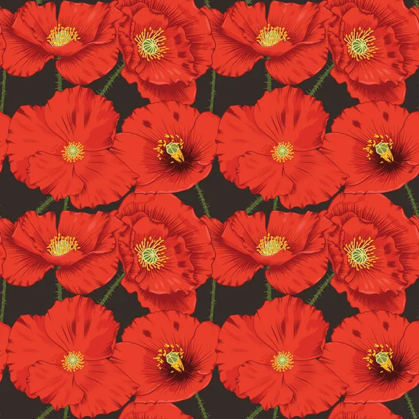 Μοτίβο Λουλουδιών Rhoeas Papaver Χωρίς Ραφές — Διανυσματικό Αρχείο
