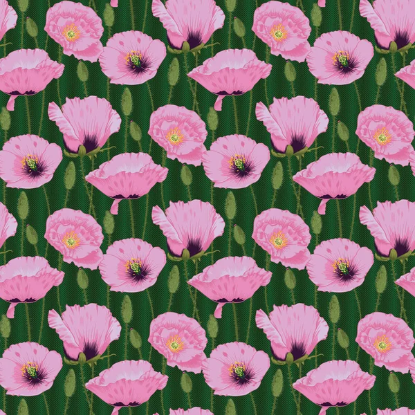 Απρόσκοπτη Ροζ Papaver Rhoeas Λουλούδι Μοτίβο — Διανυσματικό Αρχείο