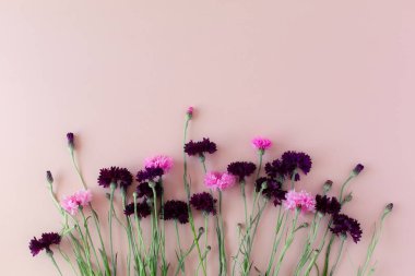 Pembe ve mor çiçekli pembe arkaplan üzerinde kopyalanmış alan