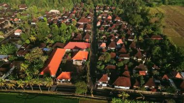 Bali 'de yemyeşil tropikal orman ve pirinç tarlalarıyla çevrili huzurlu bir köyün havadan görünüşü