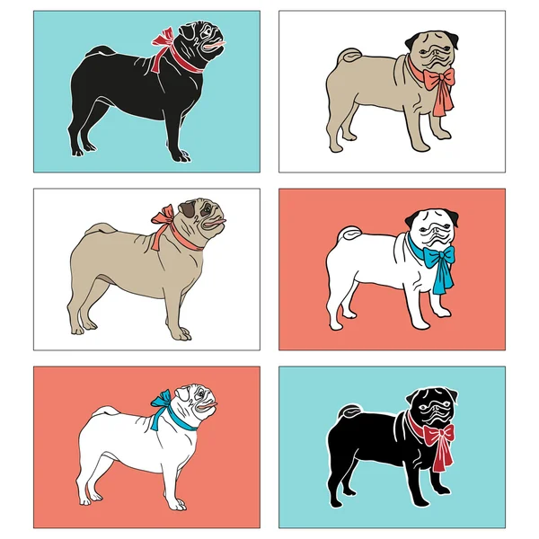 Conjunto de perro Pug — Vector de stock