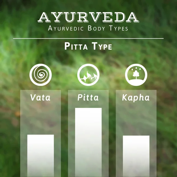 Ayurvedisk kroppstyper — Stock vektor