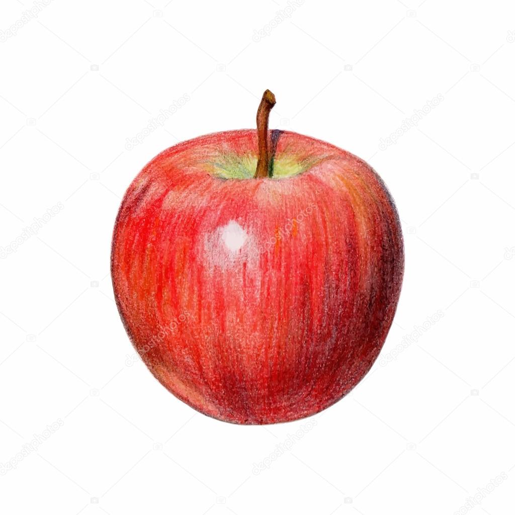realistic drawing whole of apple 22538478 PNG