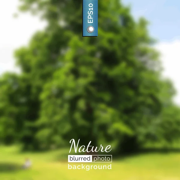 Foto fundo com a natureza — Vetor de Stock