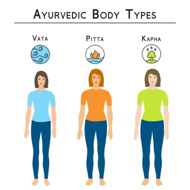 Ayurveda vektör çizim. Ayurveda vücut tipleri, vata, pide, kapha.