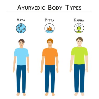 Ayurveda vektör çizim. Ayurveda vücut tipleri, vata, pide, kapha.